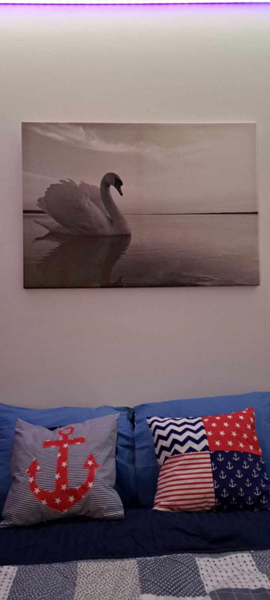 Apartment Swan