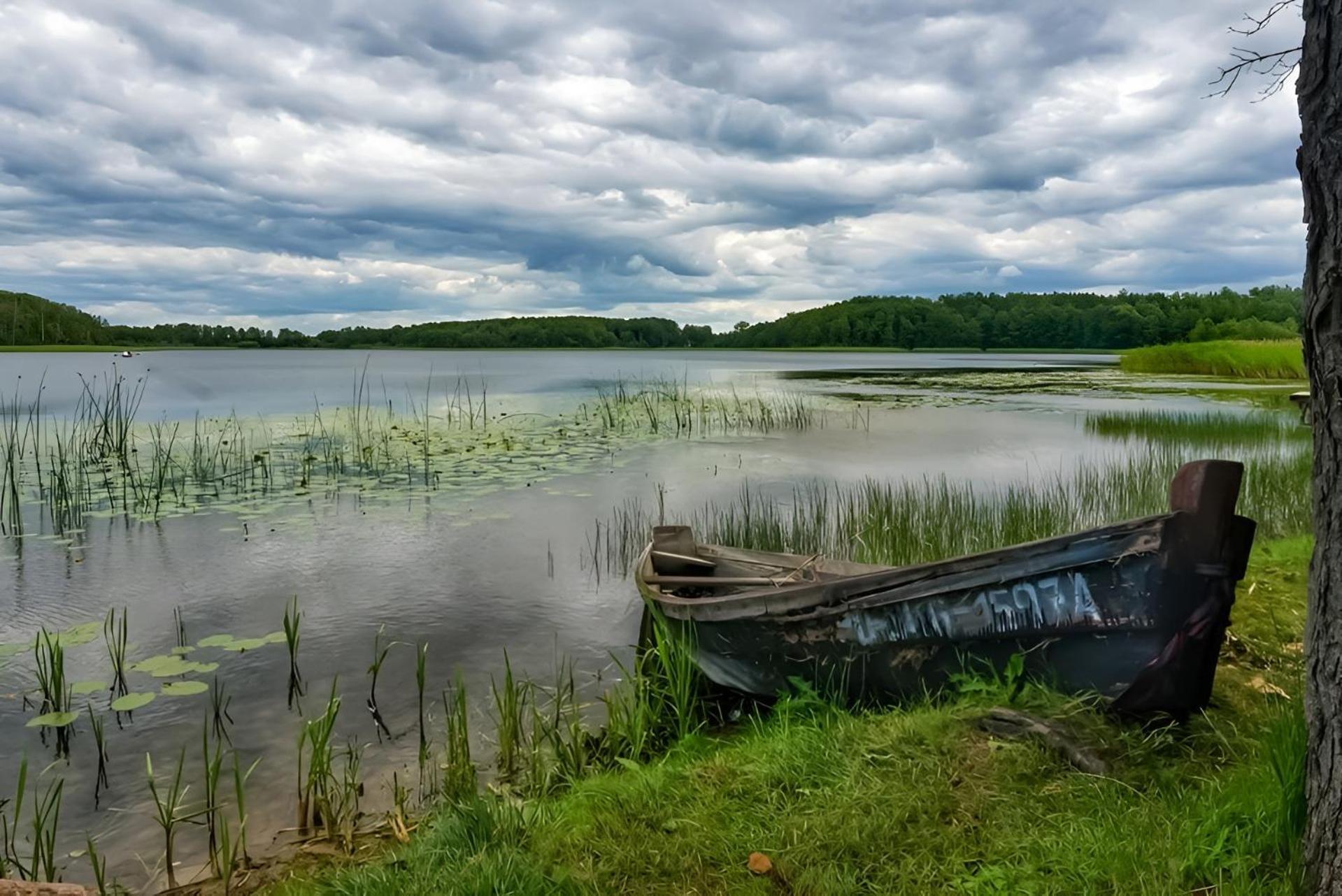 Apartment Swan Mikolajki (Mragowo)